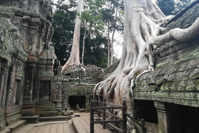 Half Day Angkor Wat Sunrise Private Tour - Stop 1: Angkor Wat Sunrise and the Main Structure Visit