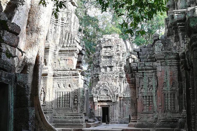 Half Day Angkor Wat Sunrise Private Tour - Stop 2: Ta Prohm at Opening Time