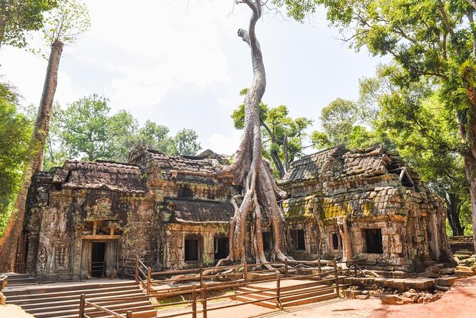Half Day Angkor Wat Tour - Morning or Afternoon from Siem Reap - Key highlights (quick hits)