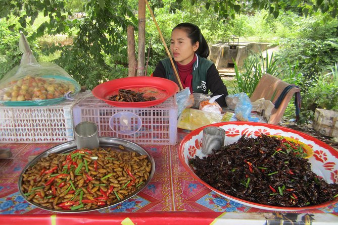 Half Day Floating Village ( Mechrey) & Tole Sap Tour - Getting to Mechrey from Siem Reap in comfort