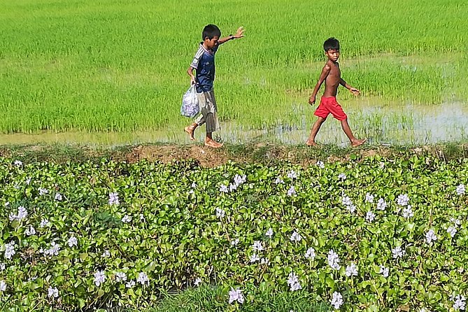 Half Day Floating Village ( Mechrey) & Tole Sap Tour - Deep-fried crickets: one Khmer delicacy stop