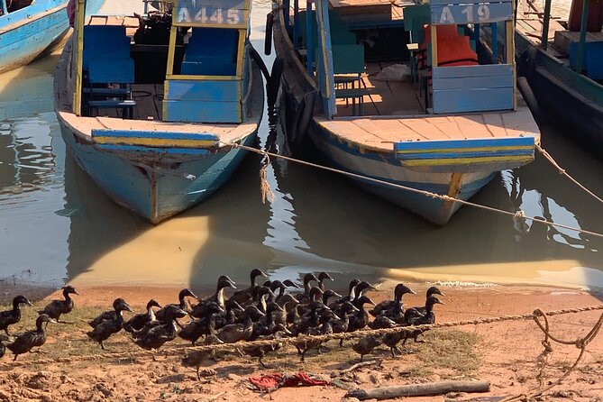 Half Day Floating Village ( Mechrey) & Tole Sap Tour - Timing, value, and how this fits your Siem Reap plan