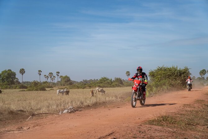 Half Day Siem Reap Off-Road Ride Tour - What to Bring for a Bumpy, Dusty, Camera-Friendly Day