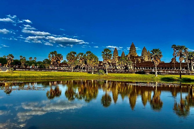 Half Day Tour- Angkor Wat, Ta Promh, Bayon Temple - Ta Prohm: The Tree-Root Effect You’ll Keep Noticing