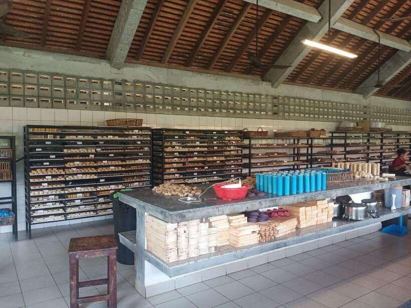 Half Day Trip: Silk Farm, Satcha, and Senteur d'Angkor Tour - Artisan dAngkor: Seeing Local Handicrafts Made