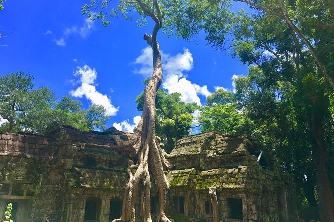 Highlight of Angkor Complex 2 Days Private Tour - Who this private Angkor tour is best for