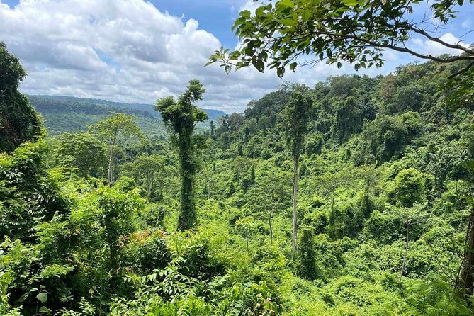 Kbal Spean Lingar River, Banteay Srei Temple & Pre Rup Tour - Kbal Spean River carvings: the jungle walk to the sacred stones