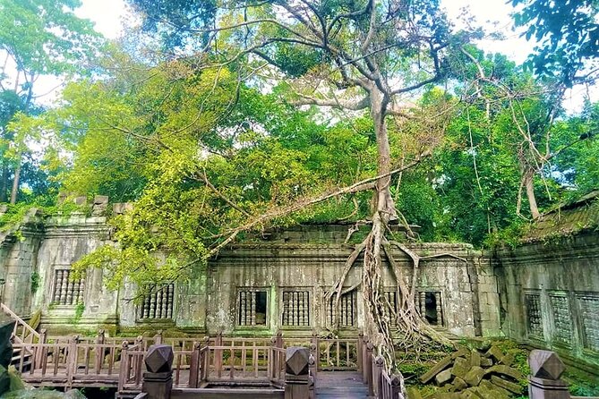 Koh Ker & Beng Mealea Temple Full-Day Private Tour from Siem Reap - Koh Ker and Beng Mealea: What This Day Trip Does Differently