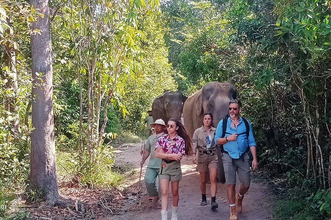 Kulen Elephant Forest and Tonle Sap Lake by Private Tour - Key points to know before you go