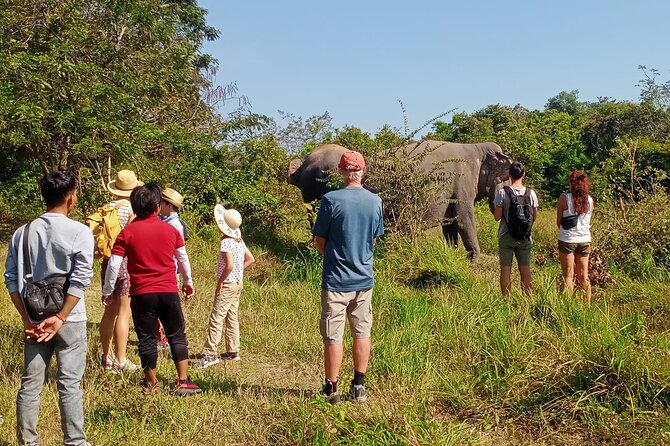 Kulen Elephant Forest and Tonle Sap Lake by Private Tour - Kulen Elephant Forest: feeding, walks, and real mahout behavior