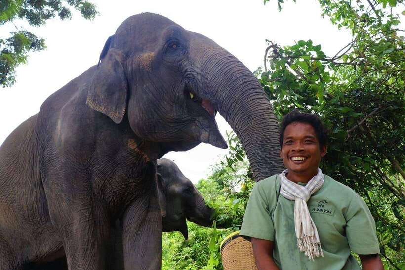 Kulen Elephant Forest Siem Reap in Small Group - First briefing and snack-making: where the trip sets its tone
