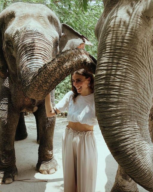 Kulen Elephant Forest Siem Reap in Small Group - Price and value: is $69 worth it?