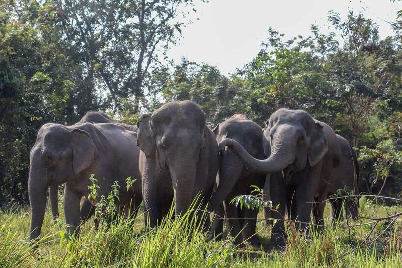 Kulen Elephant Forest & Tonlesap Lake - Key highlights worth marking on your map