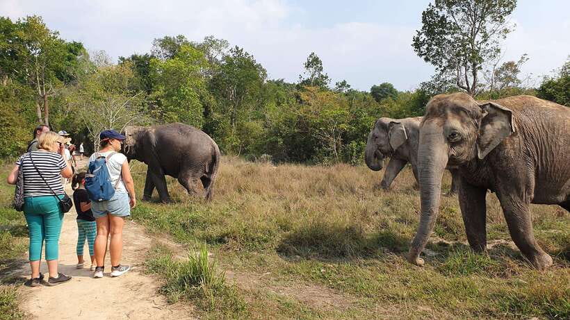 Kulen Elephant Forest & Tonlesap Lake - Entering Kulen: pickup, timing, and what to plan for