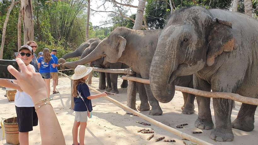 Kulen Elephant Forest & Tonlesap Lake - The guided 2-kilometer trek and waterfall viewpoints