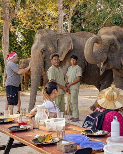 Kulen Elephant Forest & Tonlesap Lake - Kulen Elephant Forest: meeting retired elephants up close