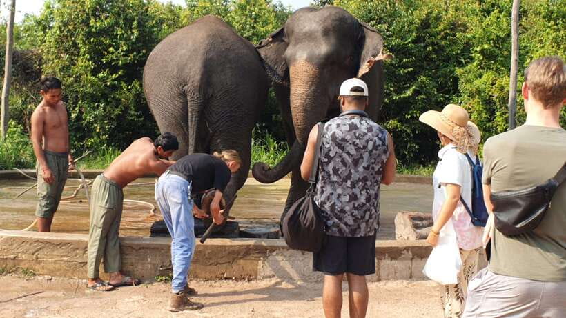 Kulen Elephant Forest & Tonlesap Lake - Kompong Phluk on Tonle Sap: stilt houses and flooded forest calm