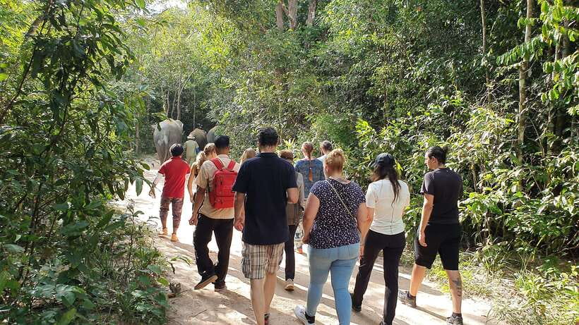 Kulen Elephant Forest & Tonlesap Lake - Price and value: where the $126 fits