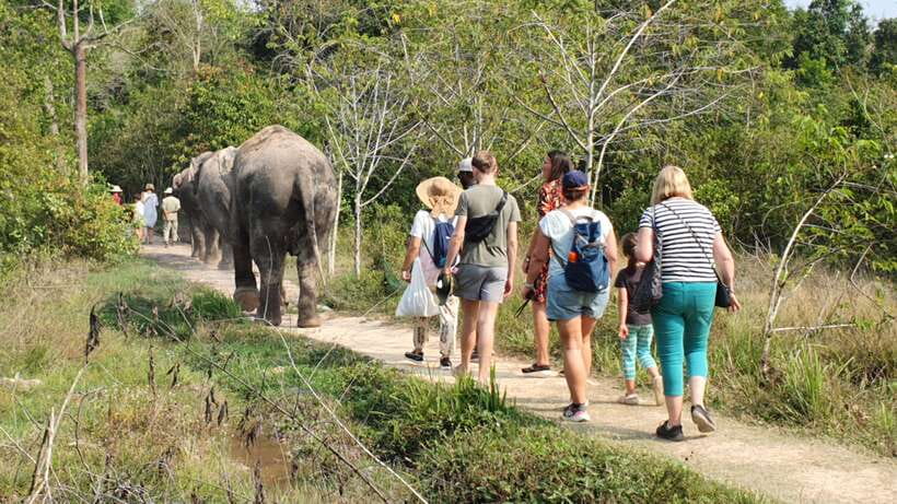 Kulen Elephant Forest & Tonlesap Lake - Tips that make the day better (and easier)