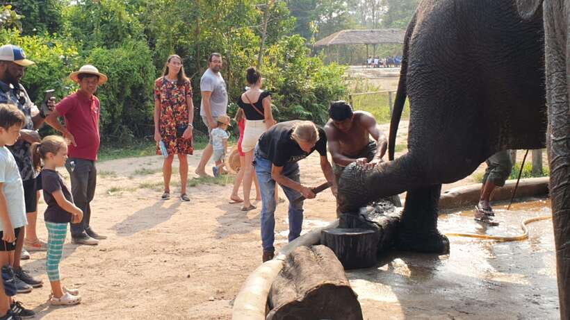 Kulen Elephant Forest & Tonlesap Lake - Should you book Kulen Elephant Forest & Tonle Sap Lake?
