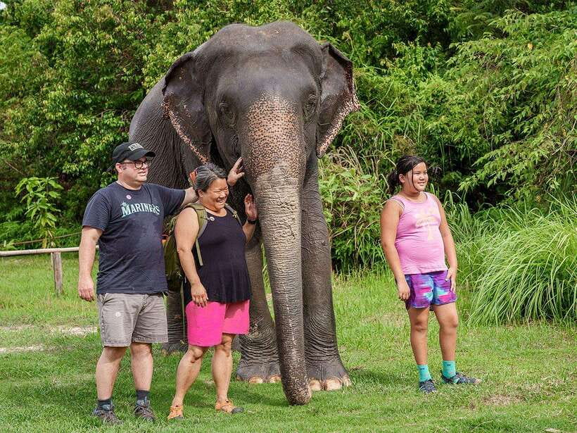 Kulen Elephant Forest Tour with Hotel Pick-up & Drop off - Arriving at the Camp: Photos, Briefing, and Elephant-Focused Orientation