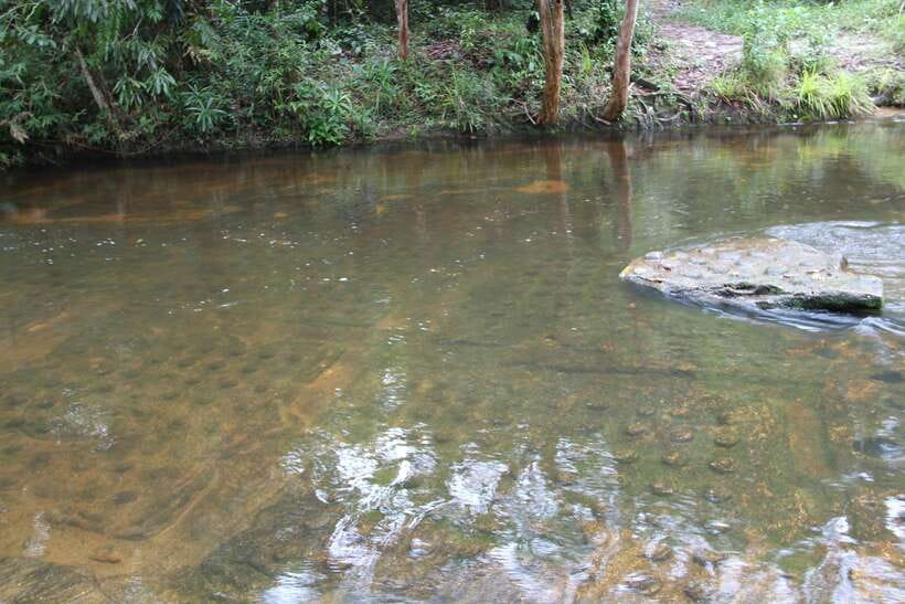 Kulen Mountain: Full-Day Private Waterfall Tour - Hilltop ascents: the Buddhist pagoda and the reclining Buddha
