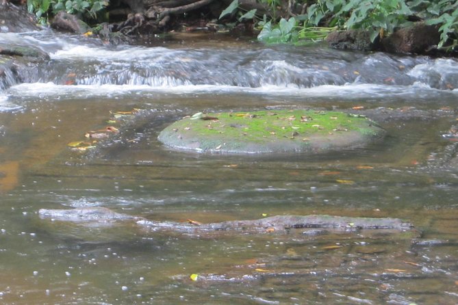 Kulen Mountain, Killing Fields and War Museum Tour - Phnom Kulen National Park: River of a Thousand Lingas and waterfall time