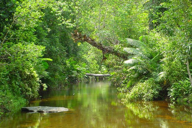 Kulen National Park Ticket - Stop 1: Phnom Kulen National Park and the sacred sights you’re paying for