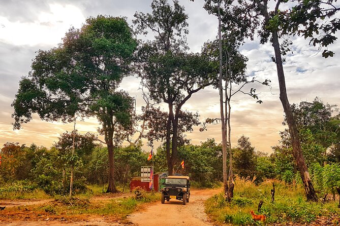 Magical Kulen Mountain by Cambodiajeep - Lunch and snacks: why included food matters more than you think