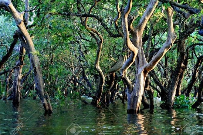 Mechrey Floating Village Tour & Mangrove from Siem Reap - The Tonlé Sap lake cruise: one hour of UNESCO-scale biodiversity