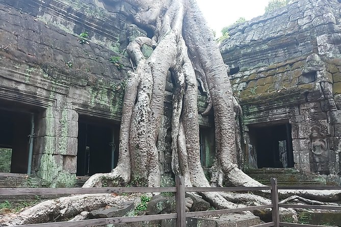 One day Angkor temple tour with private driver - Ta Phrom: The Jungle Temple and the Tomb Raider Factor