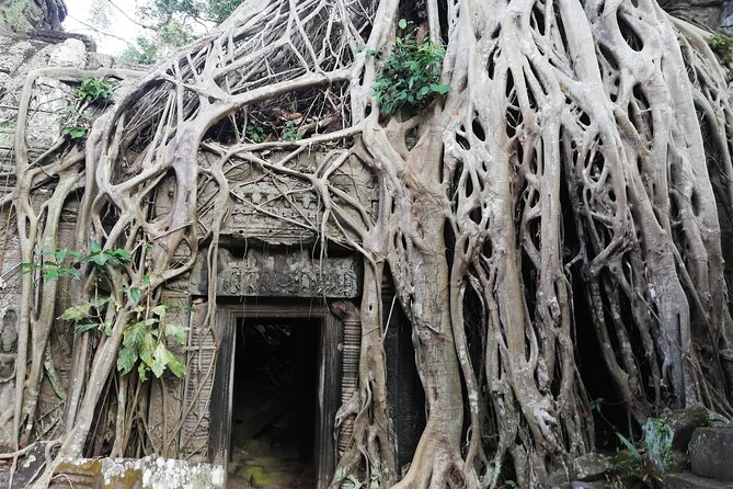 One Day Angkor World Heritage Tour - Ta Prohm: the jungle sanctuary look from Tomb Raider