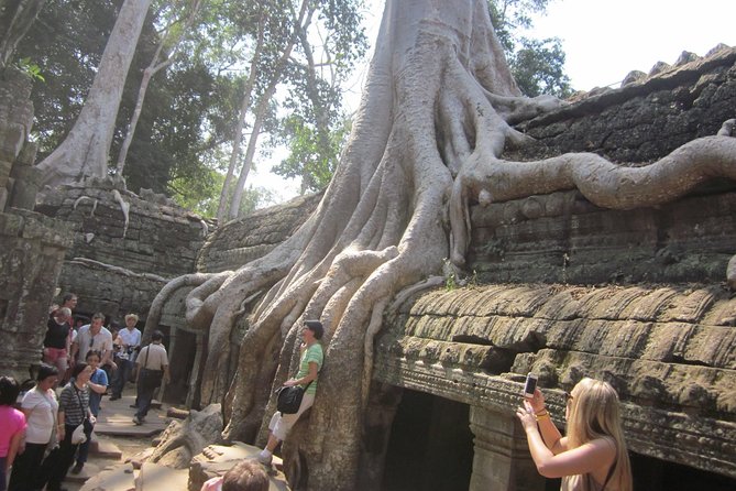 One Day Angkor World Heritage Tour - Guide quality: why English explanations matter here