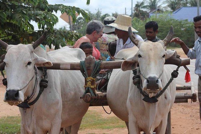 Ox-cart Culture Tour, Countryside Experince in Siem Reap - Key things I’d watch for (before you book)