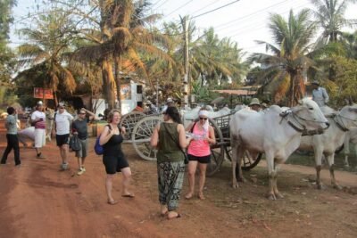Ox-cart Culture Tour, Countryside Experince in Siem Reap - Chreav community and market walk: more than passing by