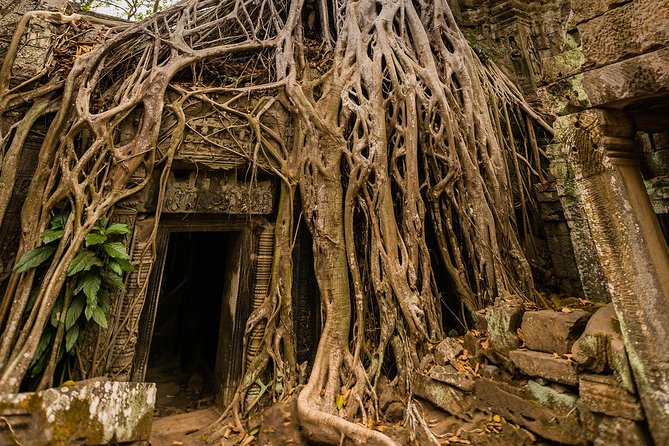 Personalised Angkor Wat Day Tour by an Air-conditioned Car - Planning Your 7-Hour Angkor Wat Day From Siem Reap
