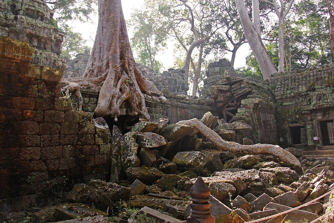 Personalised Angkor Wat Day Tour by an Air-conditioned Car - Baphuon: The Stairs That Make the Day Feel Real
