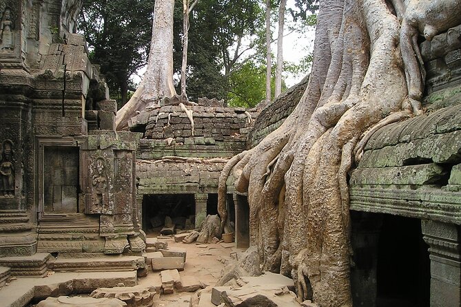 Personalised Angkor Wat Sunrise Tour by an air-conditioned car - Stop 1: Angkor Wat at sunrise (2 hours)