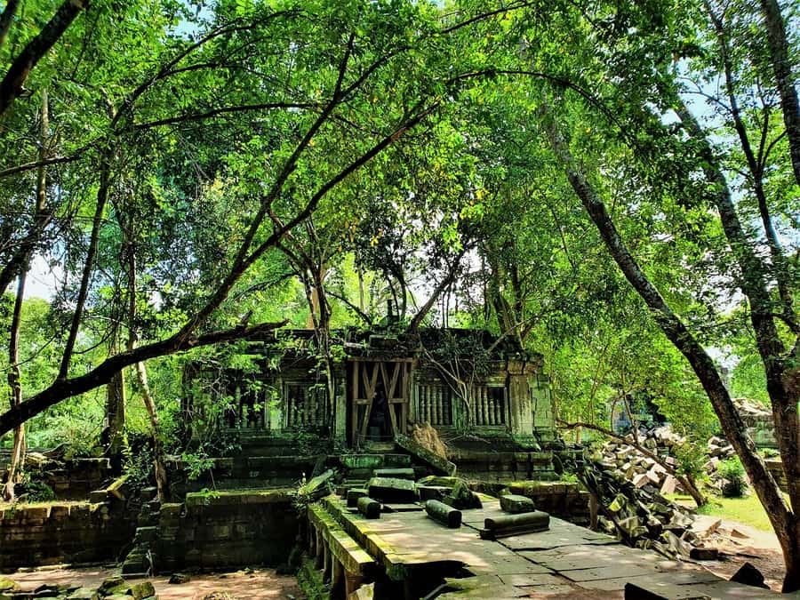 Preah Vihear Temple Koh Ker & BengMealea Tour from Siem Reap - Beng Mealea: the dramatic ruin walk
