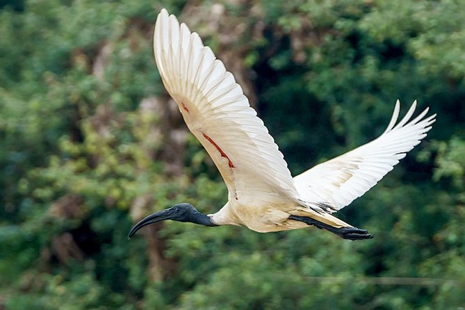Prek Toal Birds Sanctuary and floating Village Private Day Tour - Price and value: is $170.05 per person fair?
