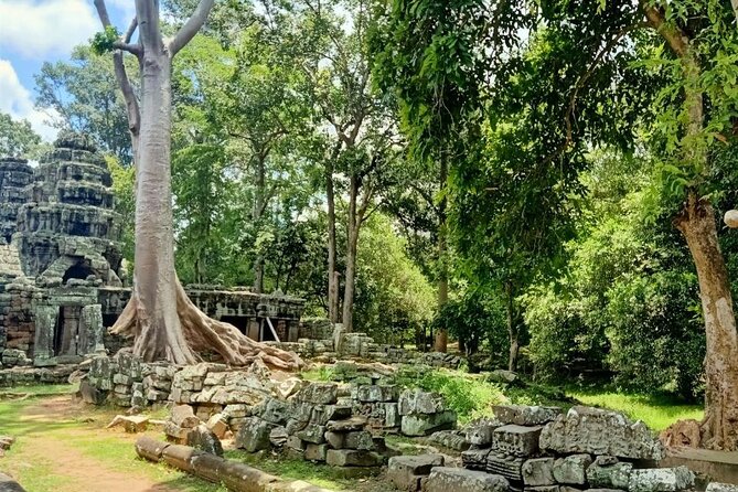 Private Angkor Wat Guided Sunset Tour - Price and value: $19 tour cost plus Angkor entrance fees