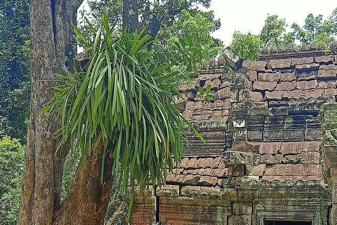 Private Angkor Wat Guided Sunset Tour - Phnom Bakheng at sunset: what to plan for during your final stop