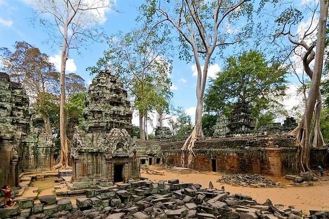 Private Angkor Wat Tour from Siem Reap - Ta Prohm: jungle roots, movie fame, and real-world contrast