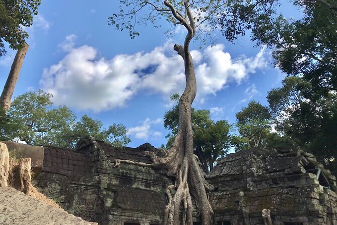 Private Guided Angkor Wat Tour by Lady Tuk Tuk with Monk Blessing - Why a Lady Tuk Tuk morning makes Angkor feel human