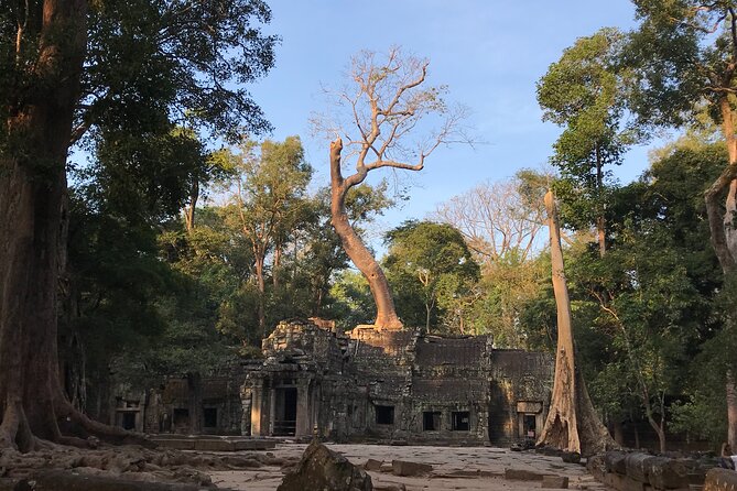 Private Guided Angkor Wat Tour by Lady Tuk Tuk with Monk Blessing - Bayon Temple: the 200 smiling faces and what to notice