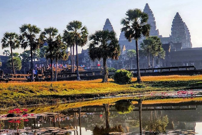 Private Guided Tours-Sunrise Angkor Wat, Ta Prohm, Bayon and more - What to pack and how to avoid common Angkor-day problems