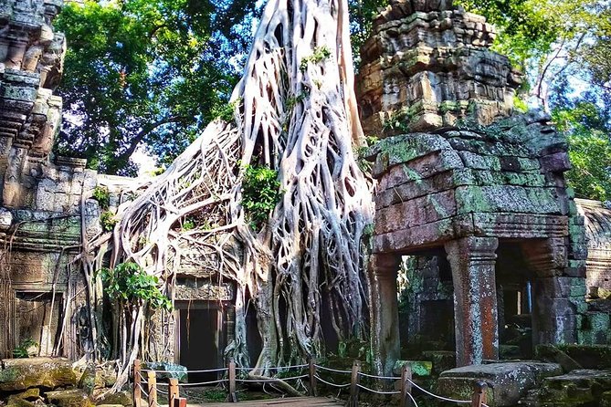 Private Guided Tours-Sunrise Angkor Wat, Ta Prohm, Bayon and more - Should you book this private sunrise Angkor tour?