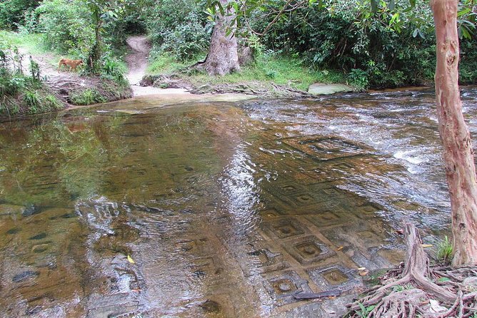 Private Kulen Mountain and Beng Mealea Temple Tour - The Best Part: How the Guide Changes the Day