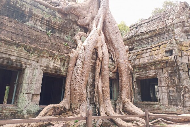 Private One Day Trip-The Best Experience in Siem Reap - Should you book this private one-day Angkor Wat trip?