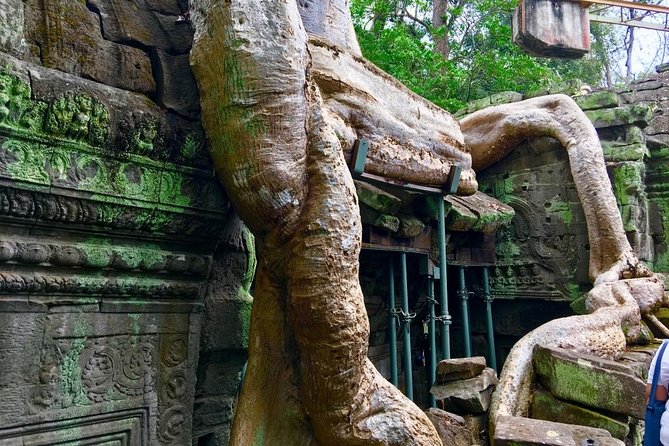 Private Siem Reap 4 Days: Full Exploration of the Angkor Complex - Tonlé Sap and Kampong Phluk: finishing Cambodia beyond the stone temples